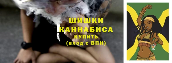 тгк Кулебаки