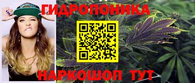 дживик Нальчик