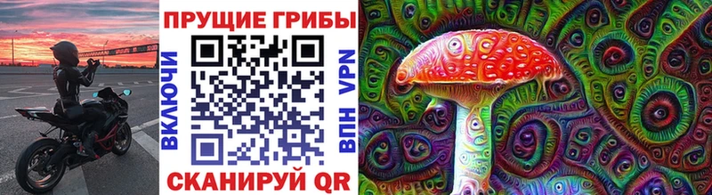 Галлюциногенные грибы Psilocybe Сосновоборск