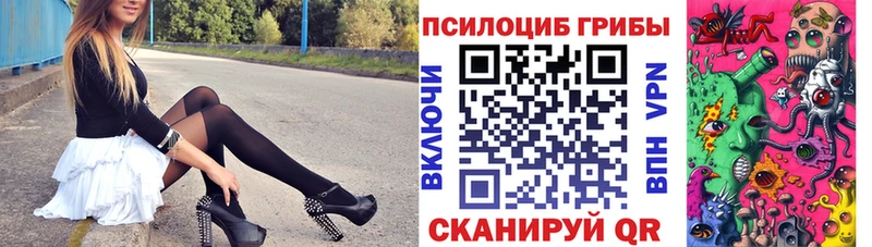 мега ТОР сайты даркнета наркотические препараты Галлюциногенные грибы Cubensis Сосновоборск