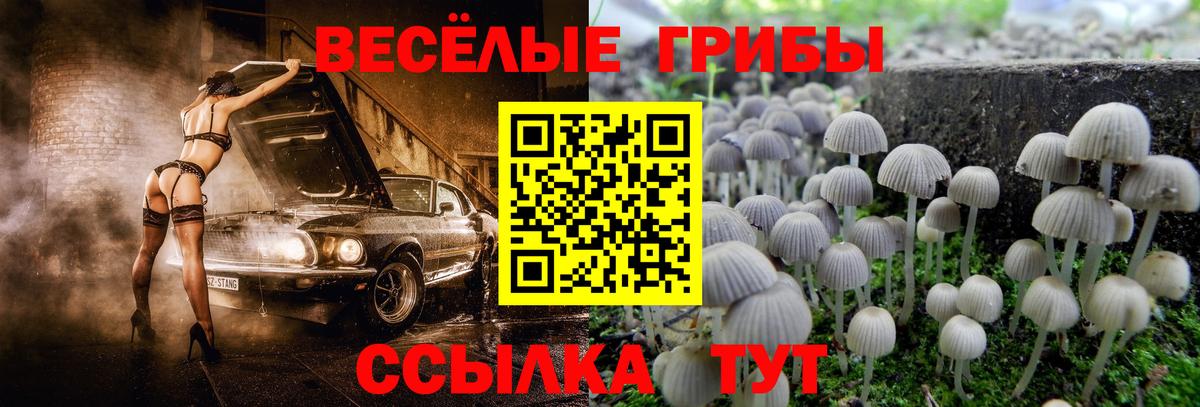 Псилоцибиновые грибы Psilocybe  Галлюциногенные грибы Magic Shrooms  закладка  Вход с VPN  Сосновоборск 